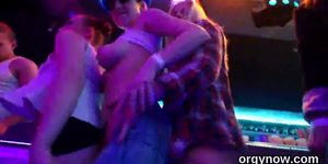 Erotic honeys give blowjob and enjoy reaming and group sex