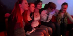 Party whores suck schlong