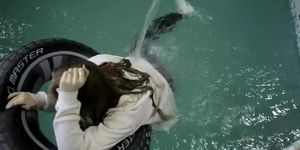 Cute pool and shower wetlook