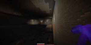 MInecraft Survival World Tour