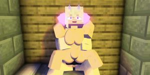 Minecraft Porn/Rule 34 compilation