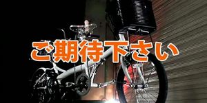 Strange and freaky bicycle ride (censored)