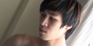 Thai Deer 02