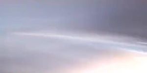 indian cock flash 7