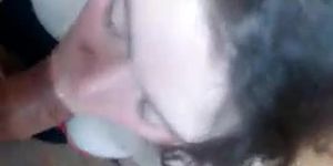 Bebe
