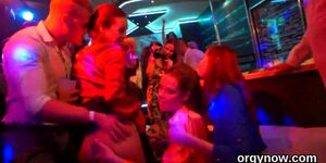 Lovable idols blow penis and enjoy screwing and sex orgy