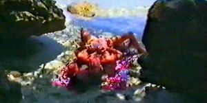 Sex On The Beach - video 9 (Sixty Nine)