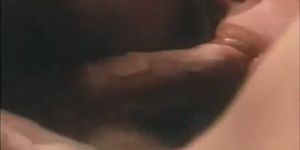 Teen Loves Cocks