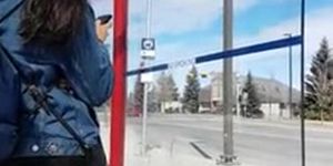 busstop dickflash girl