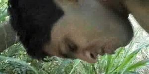 GAY SEX SINS - Outdoor Bareback Fucking Fun