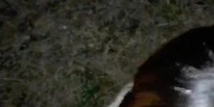 ??????????????????