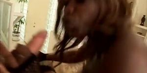 Ultimate Asses 6 Scene 3