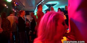 Fervent babes give a head and enjoy fucking and gangbang