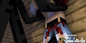 Minecraft Sex #2 Enderman