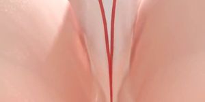 MMD 0208