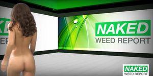 '420' Report