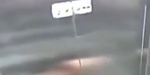 crazy pee in elevator busted cctv