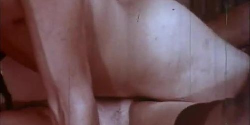 Carter Stevens Classics (Copper Penny, Ginger Jay, Long Jean Silver, Mistress Crush)