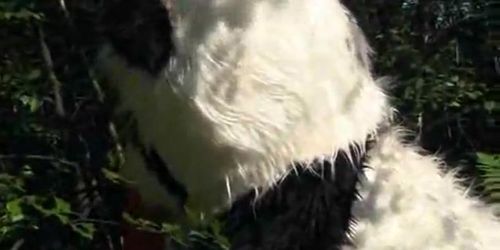 PANDA FUCK - Little Red Riding Hood fucking with Panda in the wood (Ali Darling)