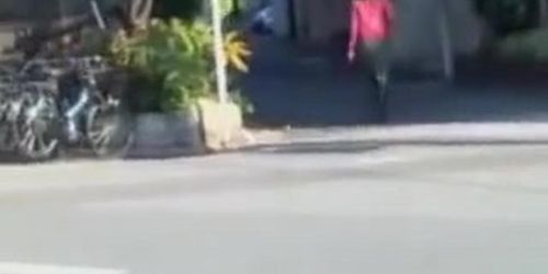 Sharking skirt adventure with sexy cutie having surprised encounter