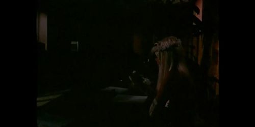 Two Naughty Sisters (Italy/USA 1990, Moana Pozzi, Cicciolina) (Barbamiska, Isis Taylor)