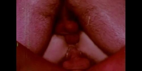1975 Of America (Arlana Blue, Bobby Astyr, Jeffrey Hurst, Marc Stevens, Sandy Fox, Suki Yu)