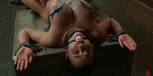 Strapped suspended busty lesbian fucked (Bella Rossi, Mia Lelani, Mz Berlin, Tia Bella)