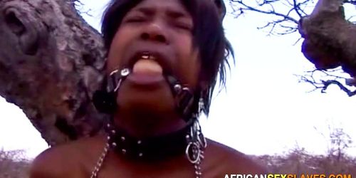 AFRICAN SEX SLAVES - African Town Sluts Tied Up Gagged Public Outdoor Spanking Humilliation