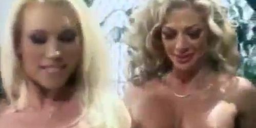 Haven's Heaven (Alexis Amore, Dayton Rains, Kelsey Heart, Nina Dolci, Star E Knight, Star E. Knight)