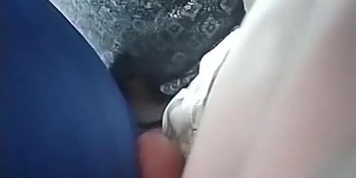 Arrimon de Verga Bus