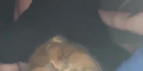 Cute whore sucks a dick in the backseat of a car then gets out to let the guy cum in her mouth and suck out every drop