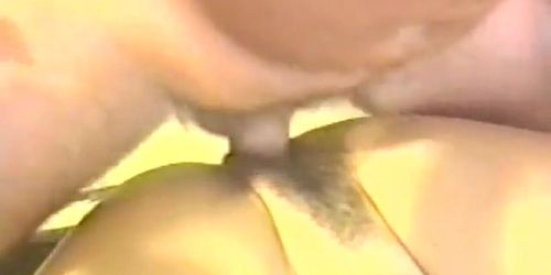 Retro USA 313 90s (Beatrice Valle, Chris Collins, Chuck Martino, Dick Nasty, Jeff Coldwater, Leanna Foxxx, Mark Davis, Patricia Kennedy, Rocco Siffredi, Selena Steele)