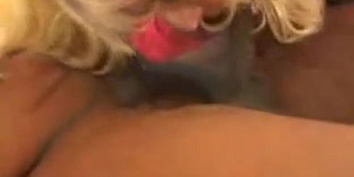 blonde wife bred