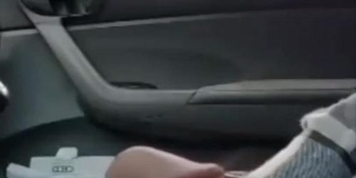 Great white north dick flash