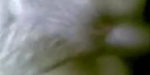sexy arab (sex_Arabic)
