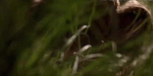 Patricia Arquette - ''Human Nature'' 05