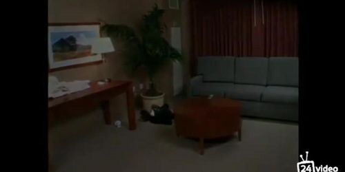 ??????_????????__2003_.mp4
