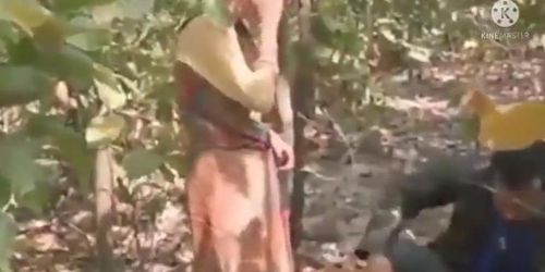 Kachra binne vali  ladki ko pata ke jungle me choda (desi_girls)