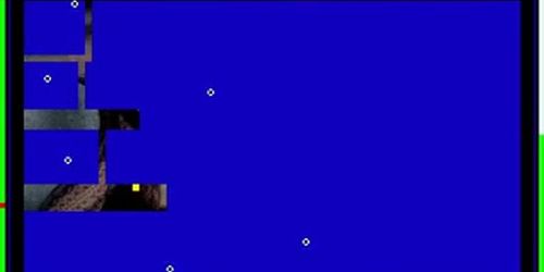 SEXONIX Nude model PC Game All levels