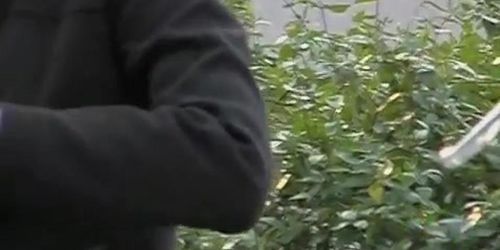 Asian sharking and the working hidden cams 