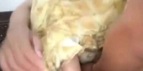 Cewek Cantik Memeknya Dipegang Tukang Sayur