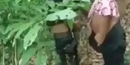गांव के जवान लड़के ने अपने से बड़े उम्र की लड़की को जंगल में पेला।