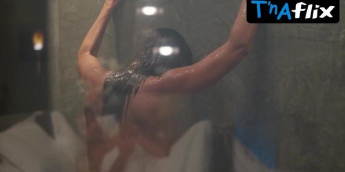Dania Neto Breasts Scene  in A Heranca