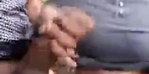 Indian latina tits (Latina_Tits)