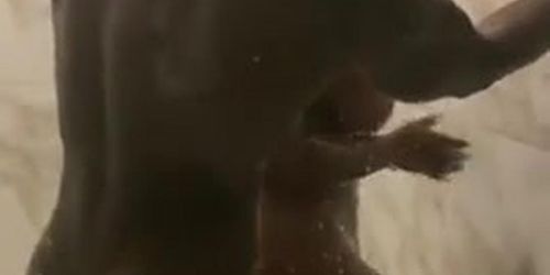 BBW Ebony: Direct Google Drive Folder Link, 55 Of Her Videos, Enjoy Boys => Https://rentry.co/y2gpb3z8