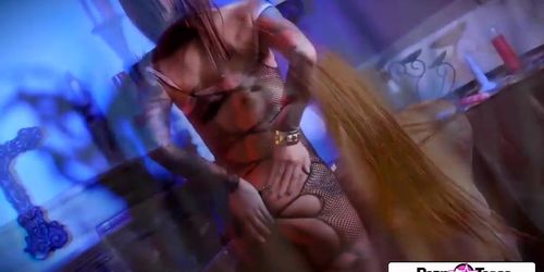 Pornstar Tease - Felicity Feline big boobs, big booty and tight wet pussy porn (Felicity Grace, Nina De Ponca)