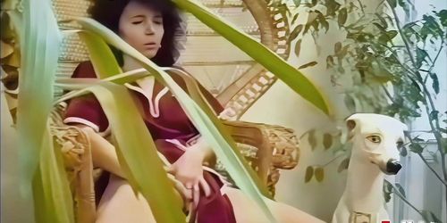 FUNMOVIES - MILF masturbating in this classic movie (Bed room)