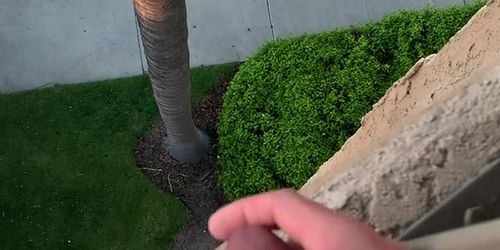 Balcony dickflash 