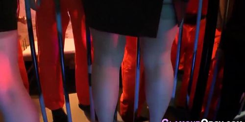 Party babes give blowjobs