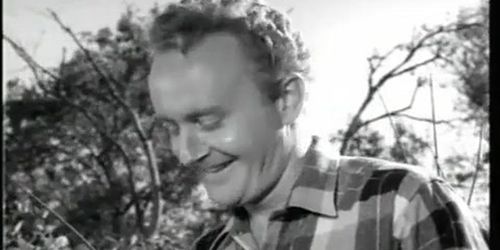 Lorna Maitland Breasts,  Butt Scene  in Mudhoney